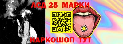 сатива Кингисепп