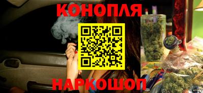 сатива Кингисепп