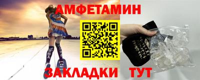 сатива Кингисепп