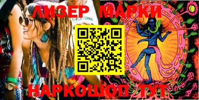 сатива Кингисепп