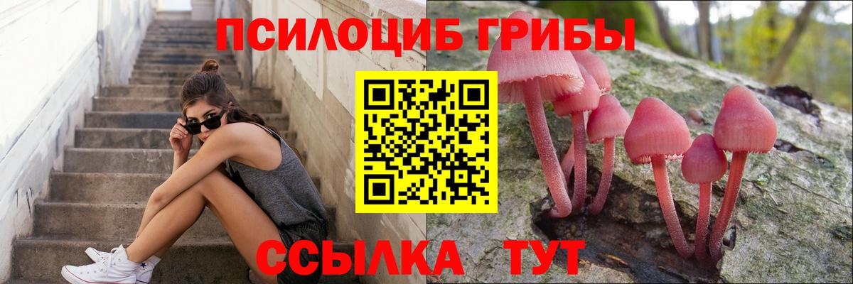 Псилоцибиновые грибы Psilocybine cubensis  Вход с VPN  Кострома 