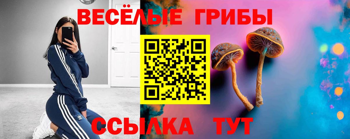 Псилоцибиновые грибы мицелий Кострома