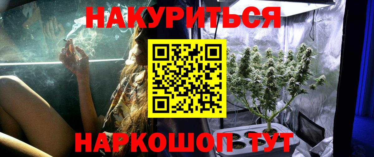 Шишки марихуана Bruce Banner  Вход с VPN  Шишки марихуана OG Kush  Марихуана сатива  Кострома 